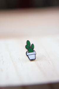mini cactus maceta blanca